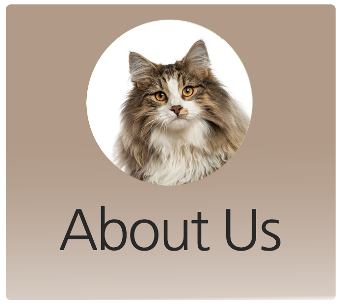 Mazomanie Animal Hospital Veterinarian in Mazomanie, WI Home